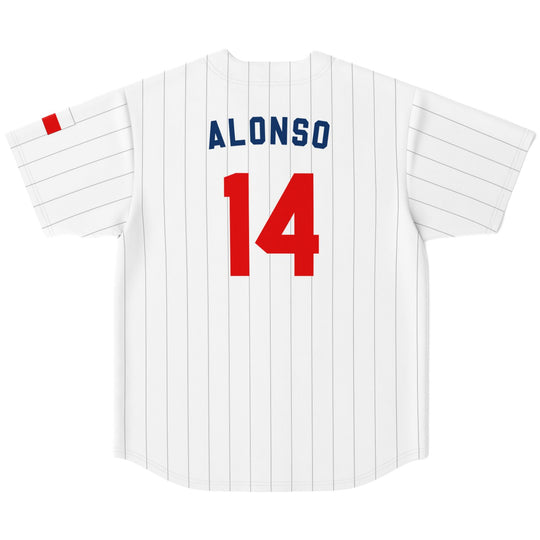 Alonso - Lone Star Jersey - Furious Motorsport